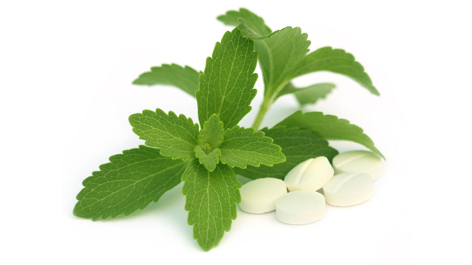 Edulcorante stevia, ¿es sano?